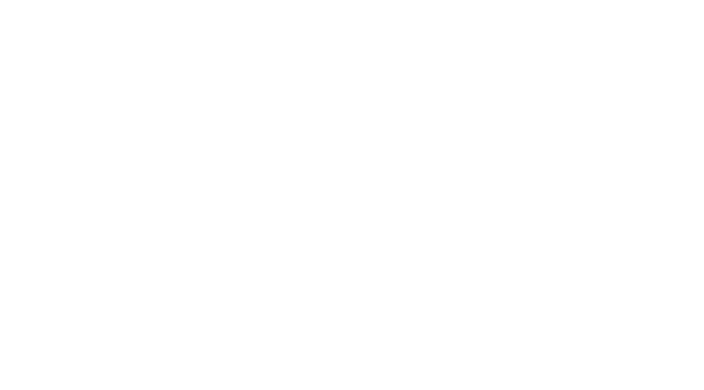 Measure Projector Case F10